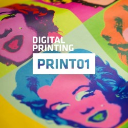 BF PRINT00 White semi-matte Print heat transfer vinyl / B-flex