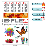 Detail of DTF Hot Peel Transfer for Textile Printing