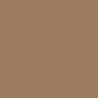 F793 Bronze Gimme 5 Premium Flex heat transfer vinyl / B-flex