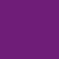 Flexcut Plum 38 termal transfer film / SEF Textile